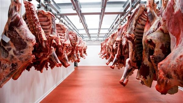 التموين تطرح الأضاحي الحية بأسعار تنافسية