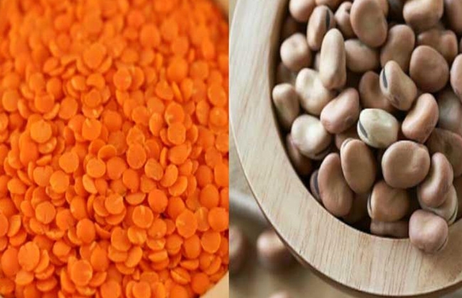 انخفاض أسعار الفول والعدس والزيت في الأسواق اليوم الثلاثاء 27 مايو 2025