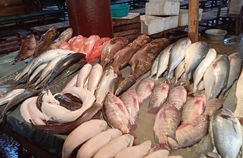 انخفاض البلطي.. أسعار السمك والجمبري في الأسواق اليوم الثلاثاء 13 مايو