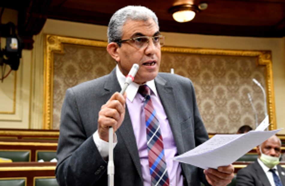رئيس "قوى عاملة النواب": قانون العلاوة "نمطي" و700 جنيه حافز إضافي مقطوع لكل الدرجات