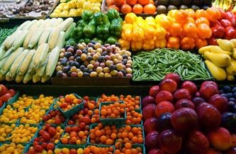 أسعار الخيار والبصل والباذنجان بالأسواق اليوم الأربعاء 21 مايو 2025