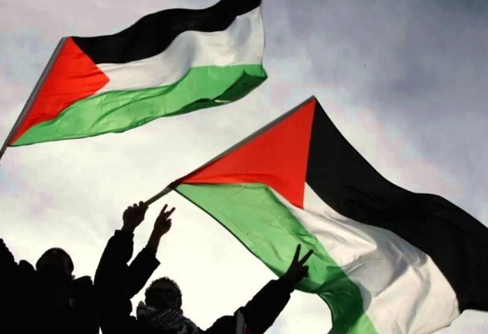وزيرة سابقة بجنوب إفريقيا: لا حرية دون حرية الفلسطينيين ونشيد بدور مصر الدولي
