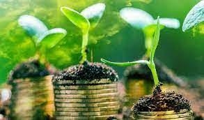 مصر تستهدف رفع نسبة الاستثمارات الخضراء إلى 50% بقيمة 14.7 مليار دولار