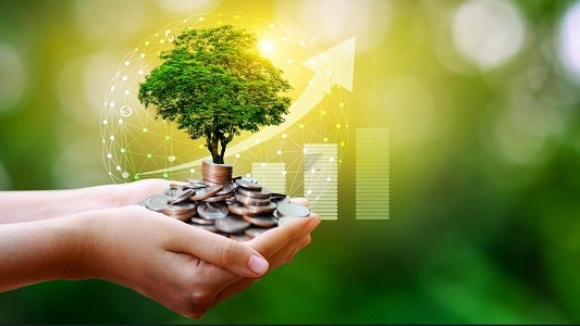رئيس وكالة حماية البيئة الأمريكية الجديد يعتزم إلغاء منح بقيمة 20 مليار دولار