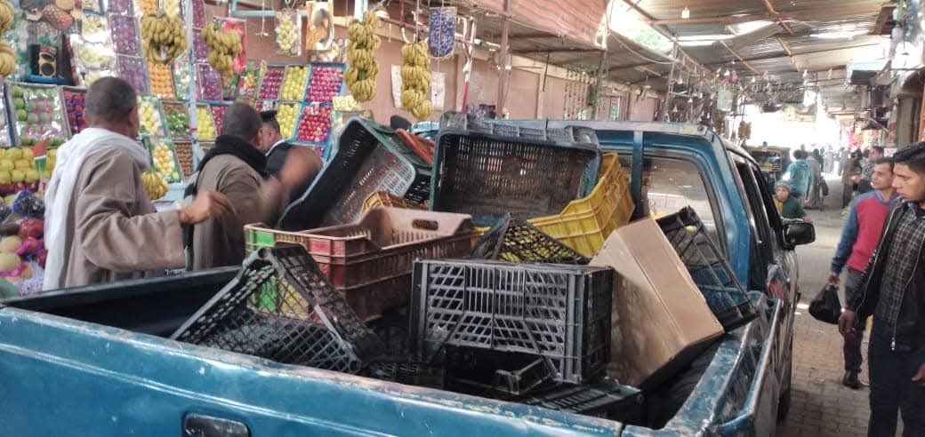66 ألف جنيه غرامات و32 محضرًا في حملة بالمنتزه في الإسكندرية