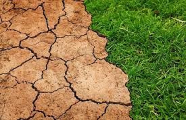 مصر ترتقي عالميًا في مؤشر أداء تغير المناخ