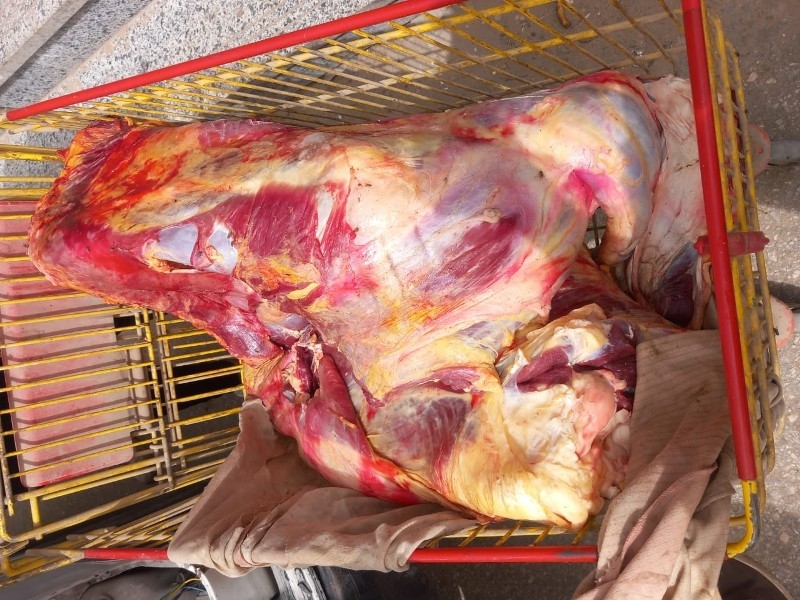 محافظ أسيوط: ضبط نصف طن لحوم غير صالحة.. وتحرير 605 محاضر خلال حملات تموينية