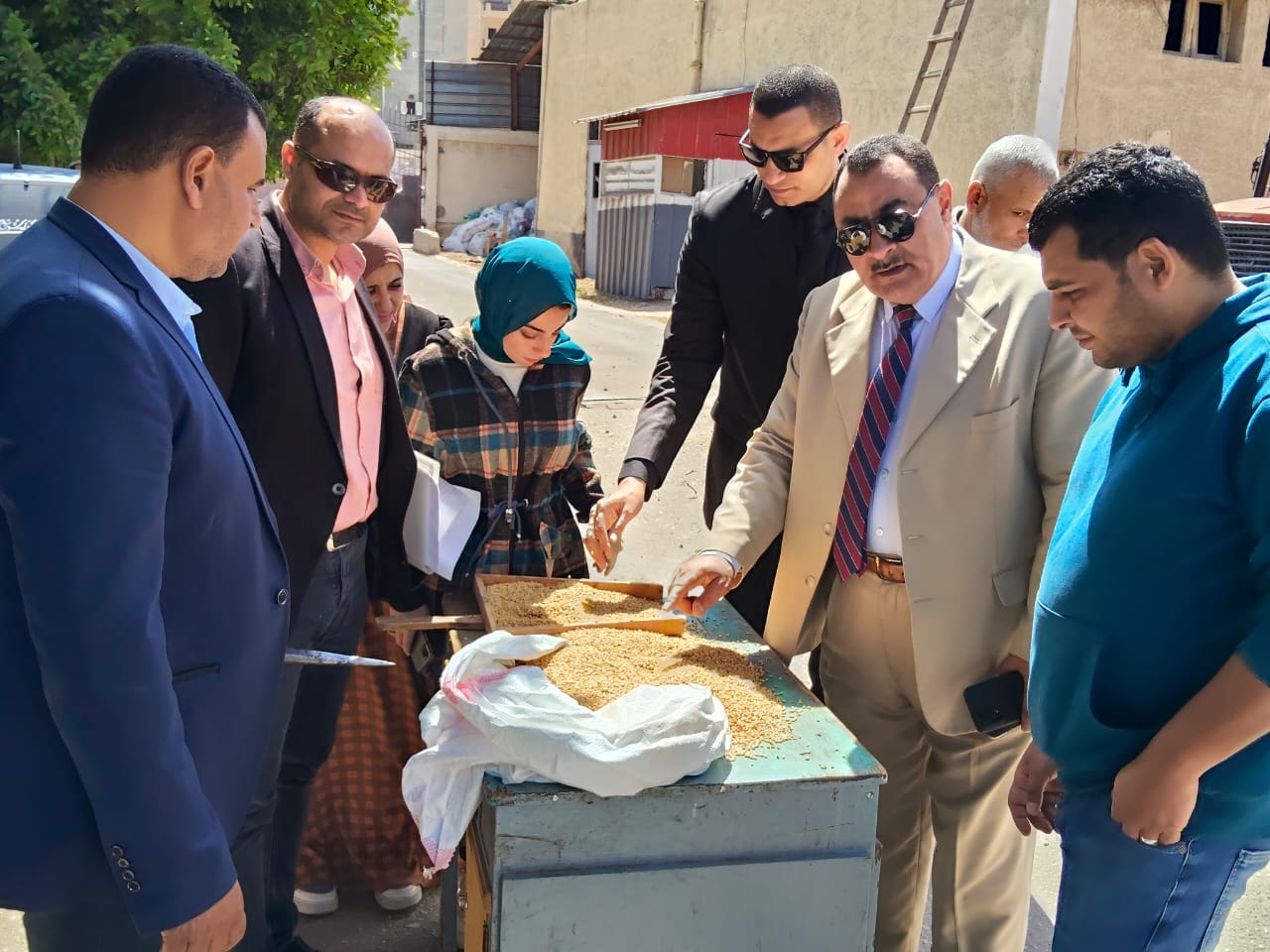 بدء استلام القمح المحلي في دمياط وتحديد أسعار التوريد حسب درجة النظافة