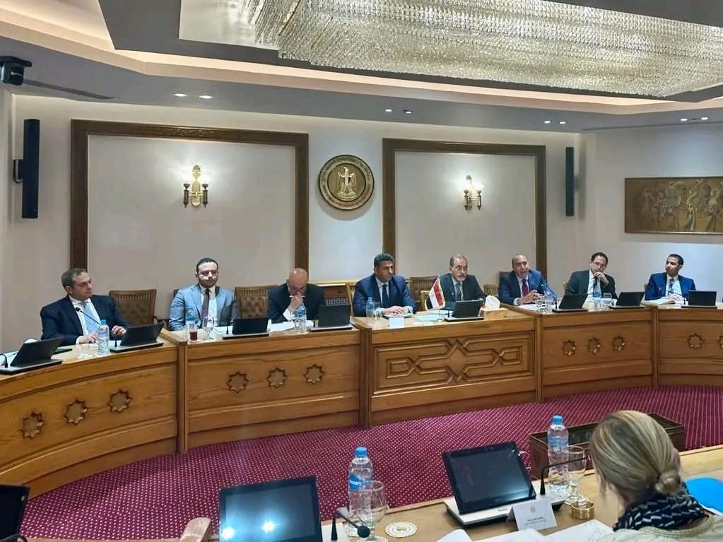 جولة مشاورات سياسية بين مصر والسويد بالقاهرة