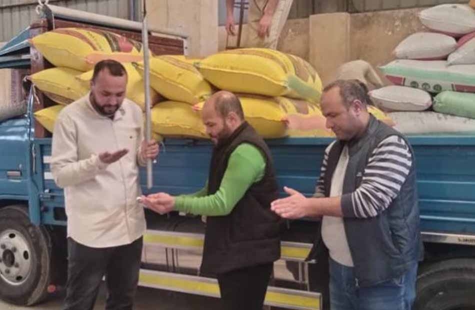 شون محافظة البحيرة تستقبل 97 ألف طن قمح