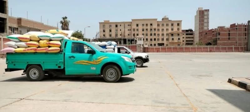 محافظ الشرقية: ارتفاع توريد القمح إلى 524 ألفًا و148 طنًا