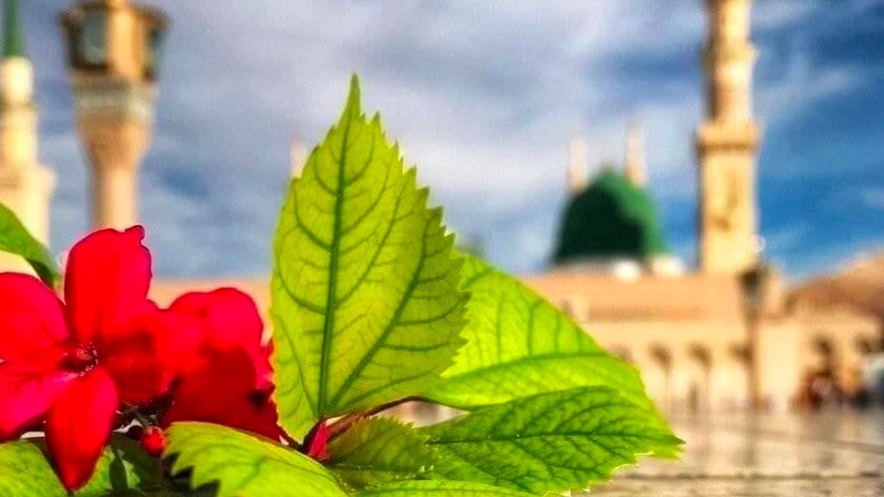 مواقيت الصلاة اليوم الأربعاء 25 يونيو 2025 في القاهرة والمحافظات
