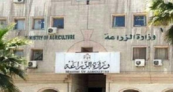 منافذ لبيع البيض والأسماك بأسعار مخفضة وحملات لتحصين الدواجن بعدة محافظات