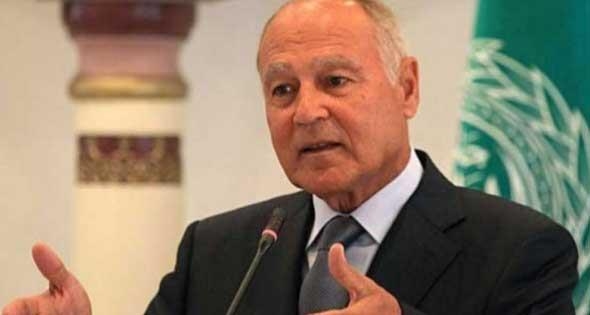 أبو الغيط: ضرورة تضافر الجهود لمواجهة التحديات العربية