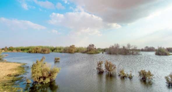 حزام من الجمال