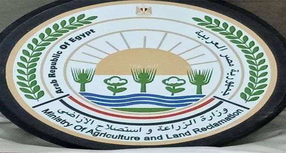 التغيرات المناخية أهم الأسباب..
«الزراعة» ترد على الشائعات حول نفوق أسماك «المنزلة»