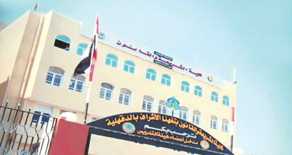 «تفهنا الأشراف».. نموذج فريد للعمل الأهلى بالدقهلية