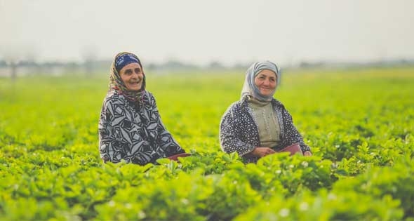 لمواجهة التقلبات الجوية والعواصف الترابية.. إرشادات يومية للفلاحين لإنقاذ المحاصيل من تقلبات المناخ