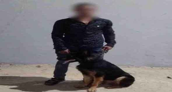 الأمن يضبط «بلطجيا» استخدم كلبا فى مشاجرة مع جاره
