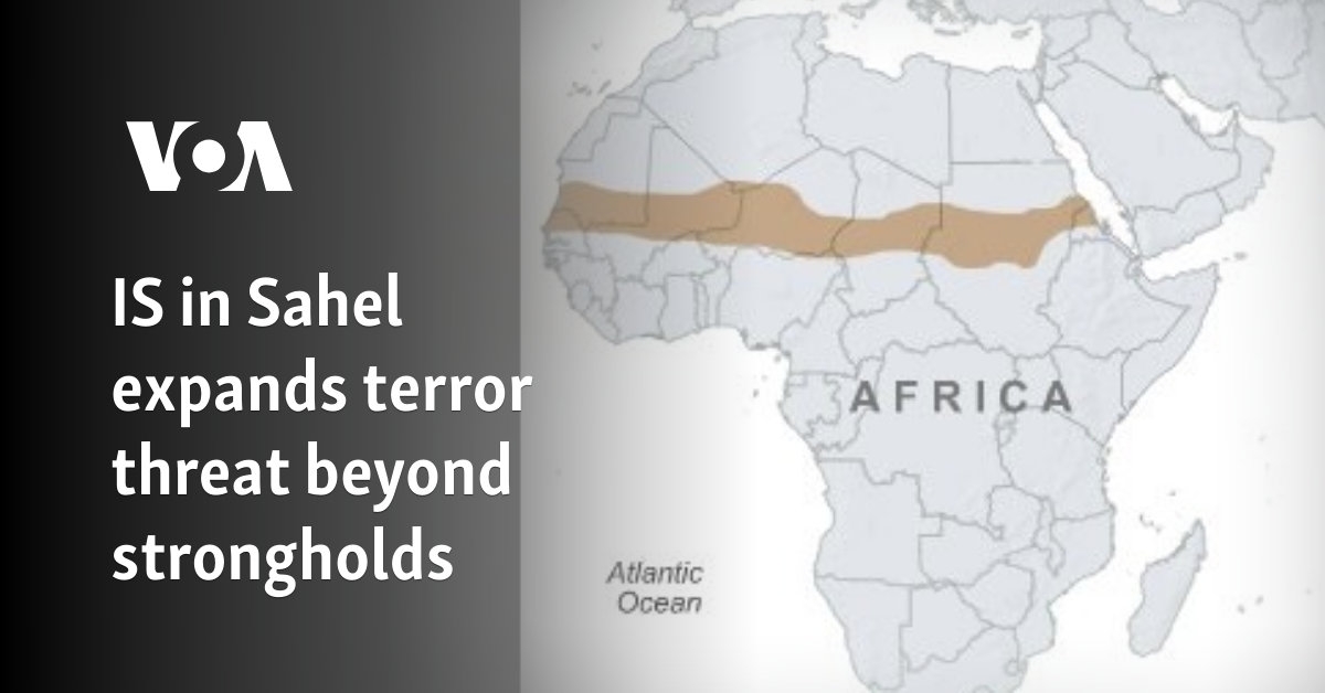 IS in Sahel expands terror threat beyond strongholds