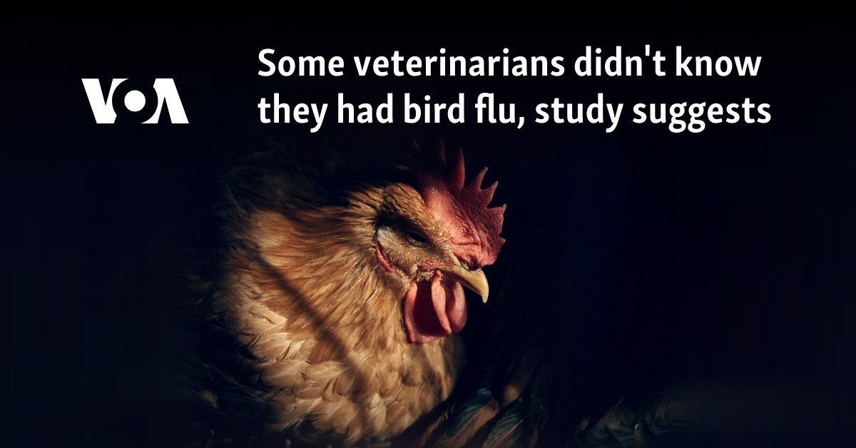 Some veterinarians didn't know they had bird flu, study suggests