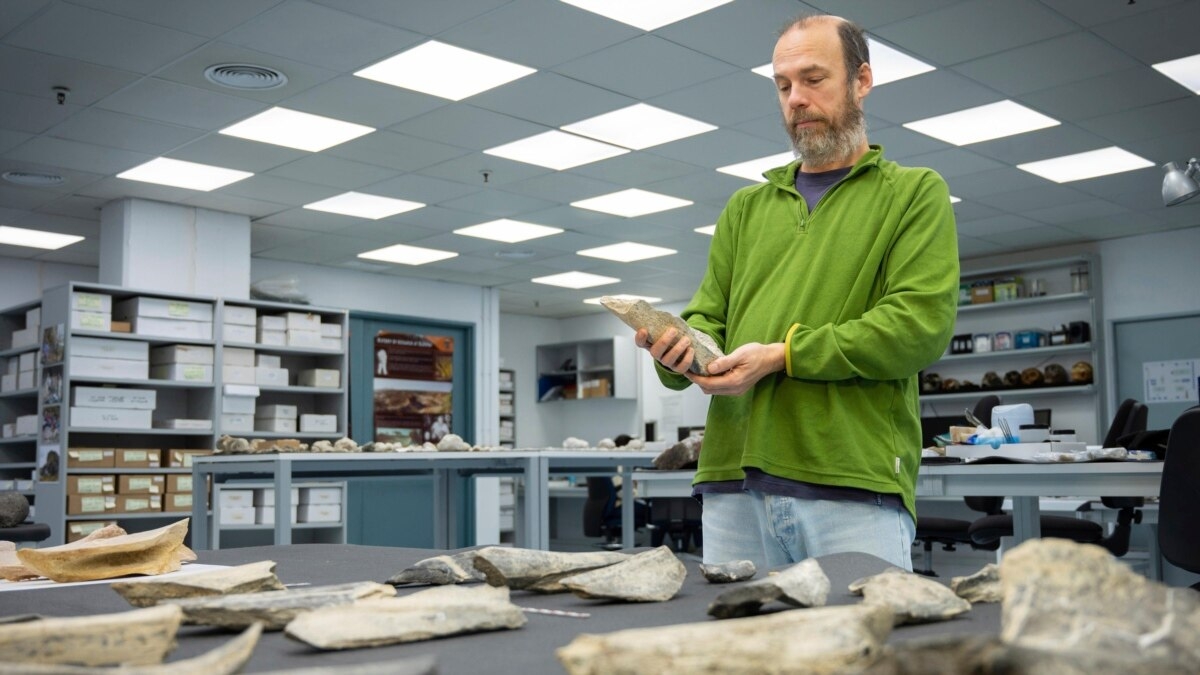 Discovery Provides New Details on Early Use of Bone Tools