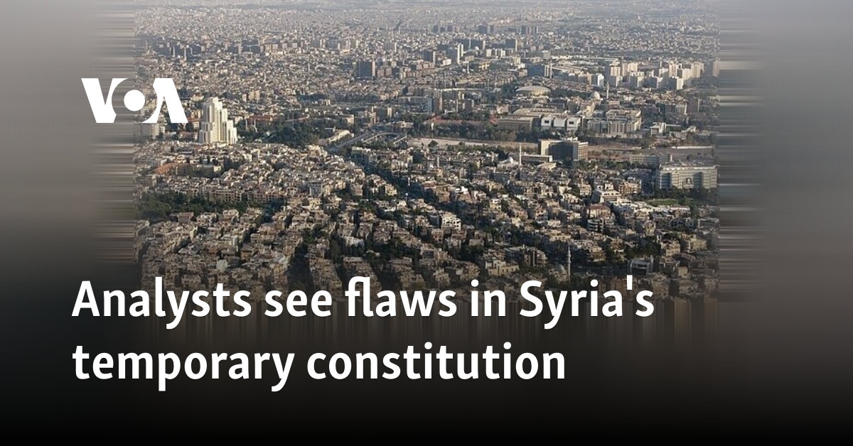Analysts see flaws in Syria's temporary constitution