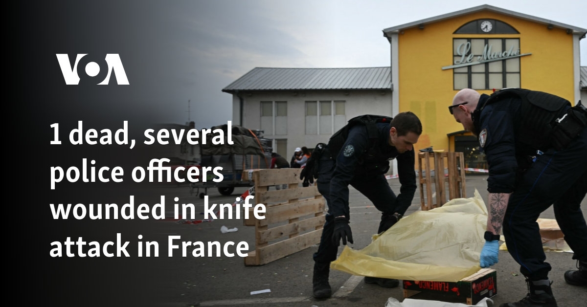 1 dead, several police officers wounded in knife attack in France