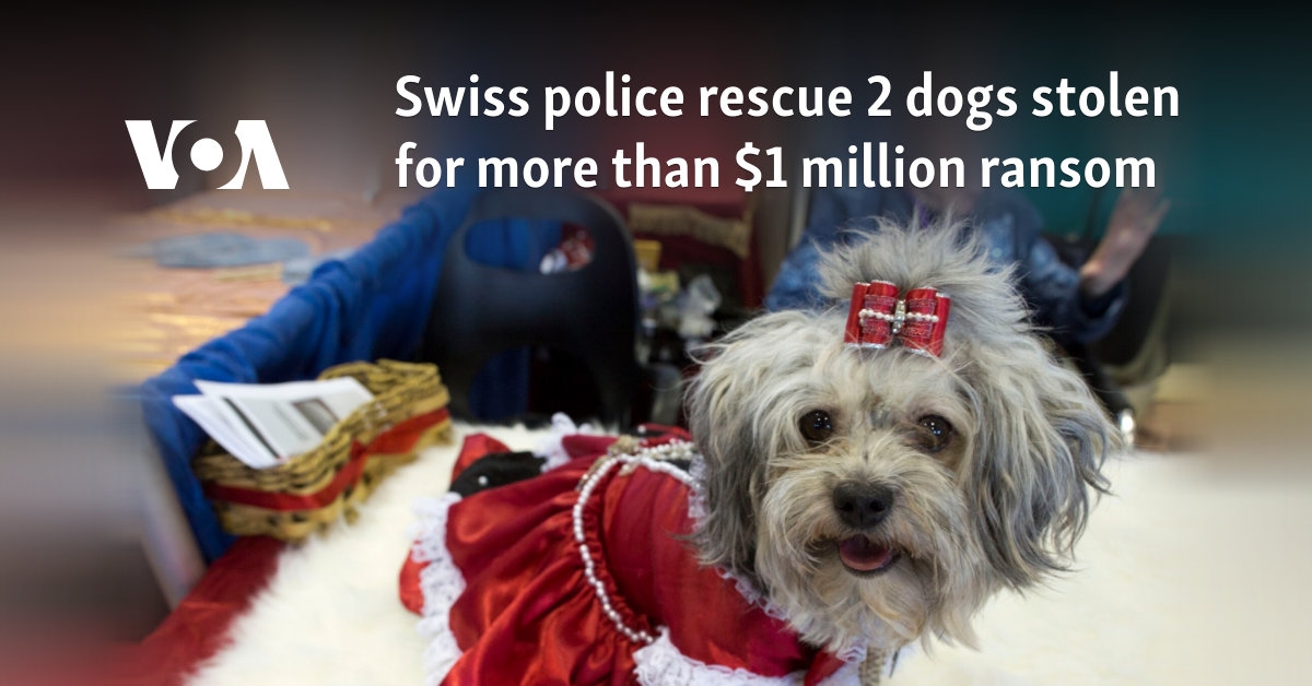 Swiss police rescue 2 dogs stolen for more than $1 million ransom