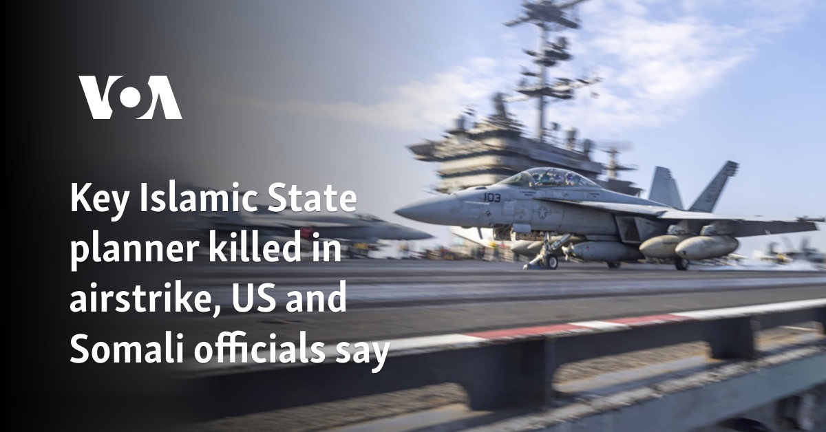 Key Islamic State planner killed in airstrike, US and Somali officials say