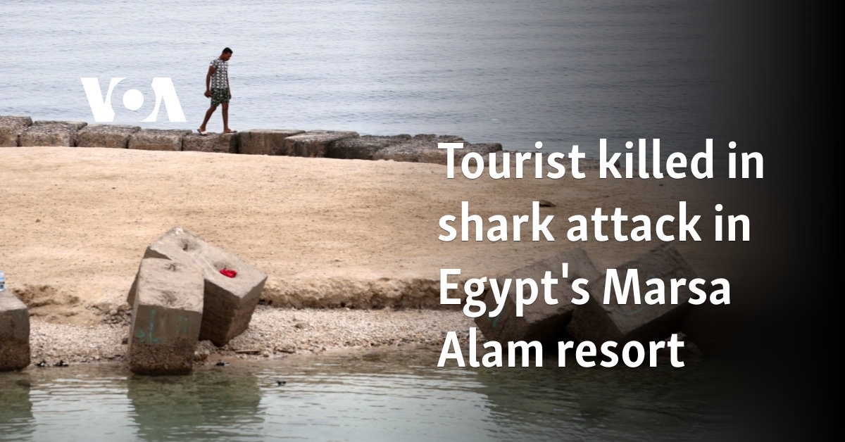 Tourist killed in shark attack in Egypt's Marsa Alam resort