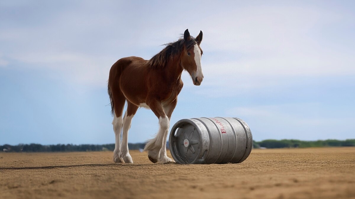 Super Bowl commercials rely on comedy, nostalgia to avoid potential missteps