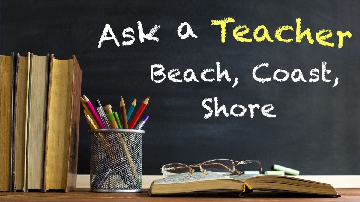 Beach, Coast, Shore