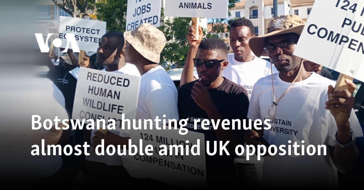 Botswana hunting revenues almost double amid UK opposition