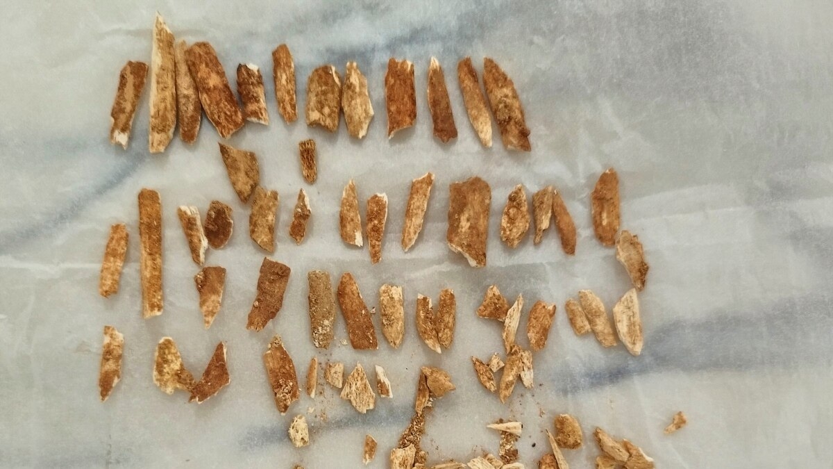Researchers Use New Methods to Date Ancient Skeleton