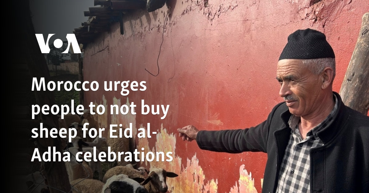 Morocco urges people to not buy sheep for Eid al-Adha celebrations