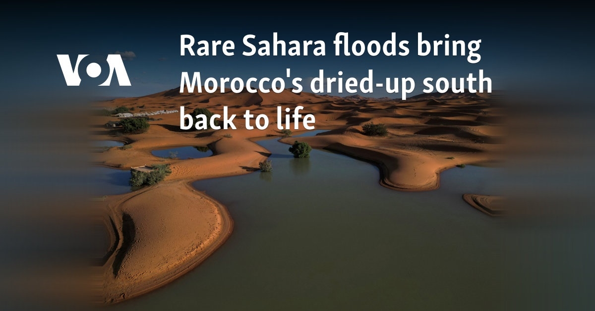 Rare Sahara floods bring Morocco's dried-up south back to life