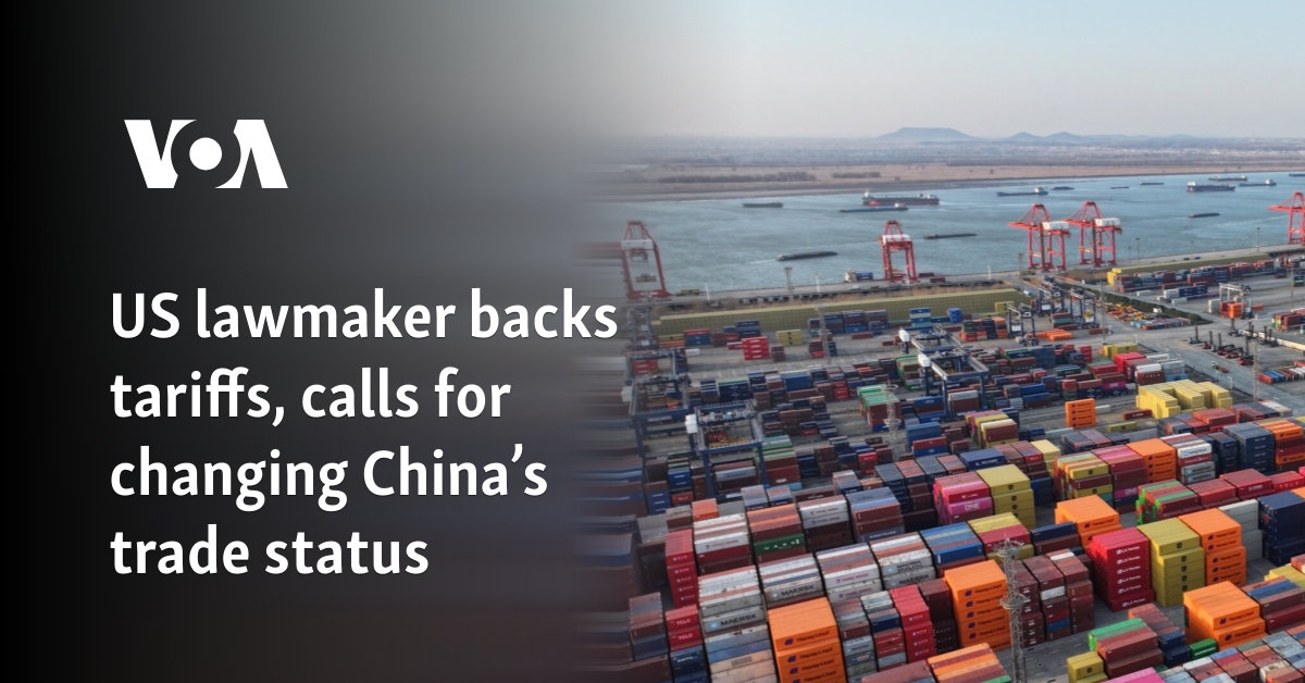 US lawmaker backs tariffs, calls for changing China's trade status