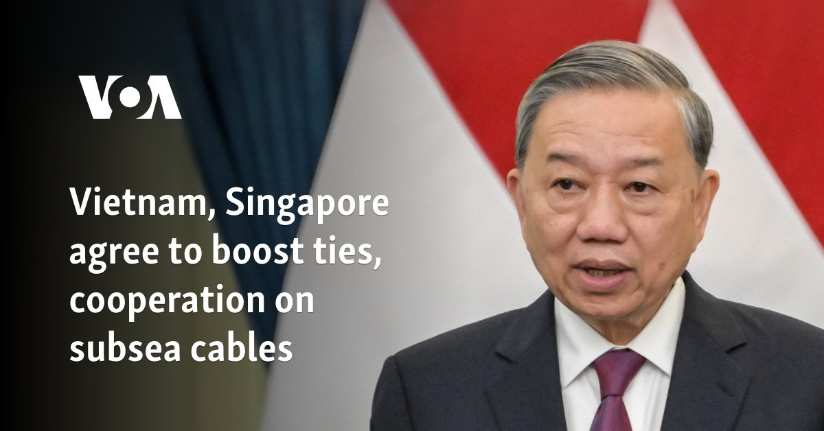 Vietnam, Singapore agree to boost ties, cooperation on subsea cables