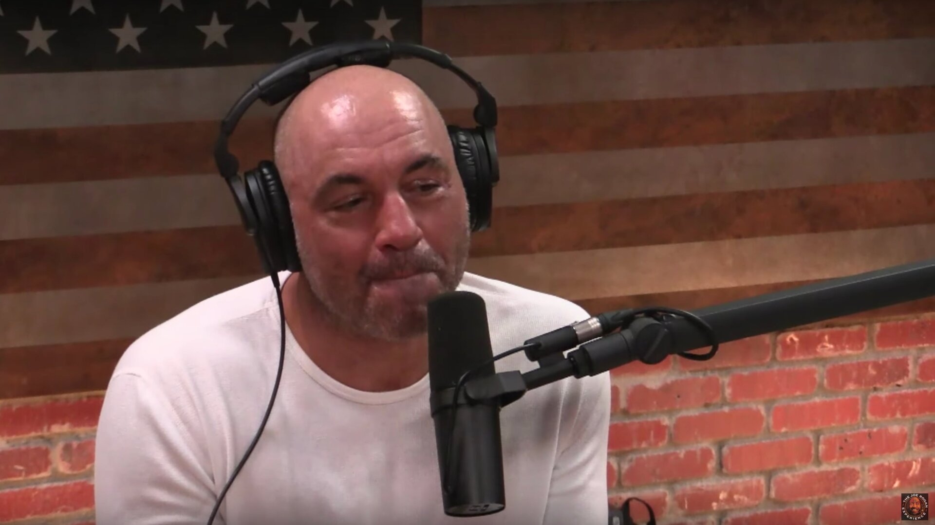 Joe Rogan Just Used a $25 Sandwich to Torch the Minimum Wage While Talking AI and Automation