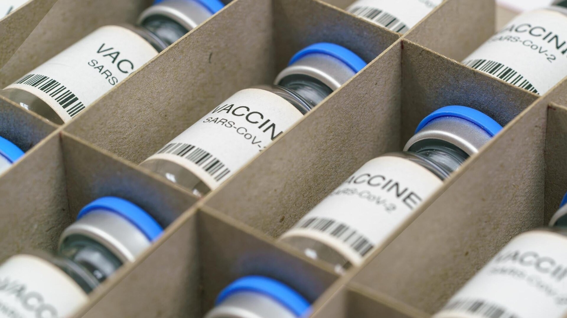 Moderna Pulls Promising Covid-Flu Combo Shot as RFK Continues Antivax Campaign