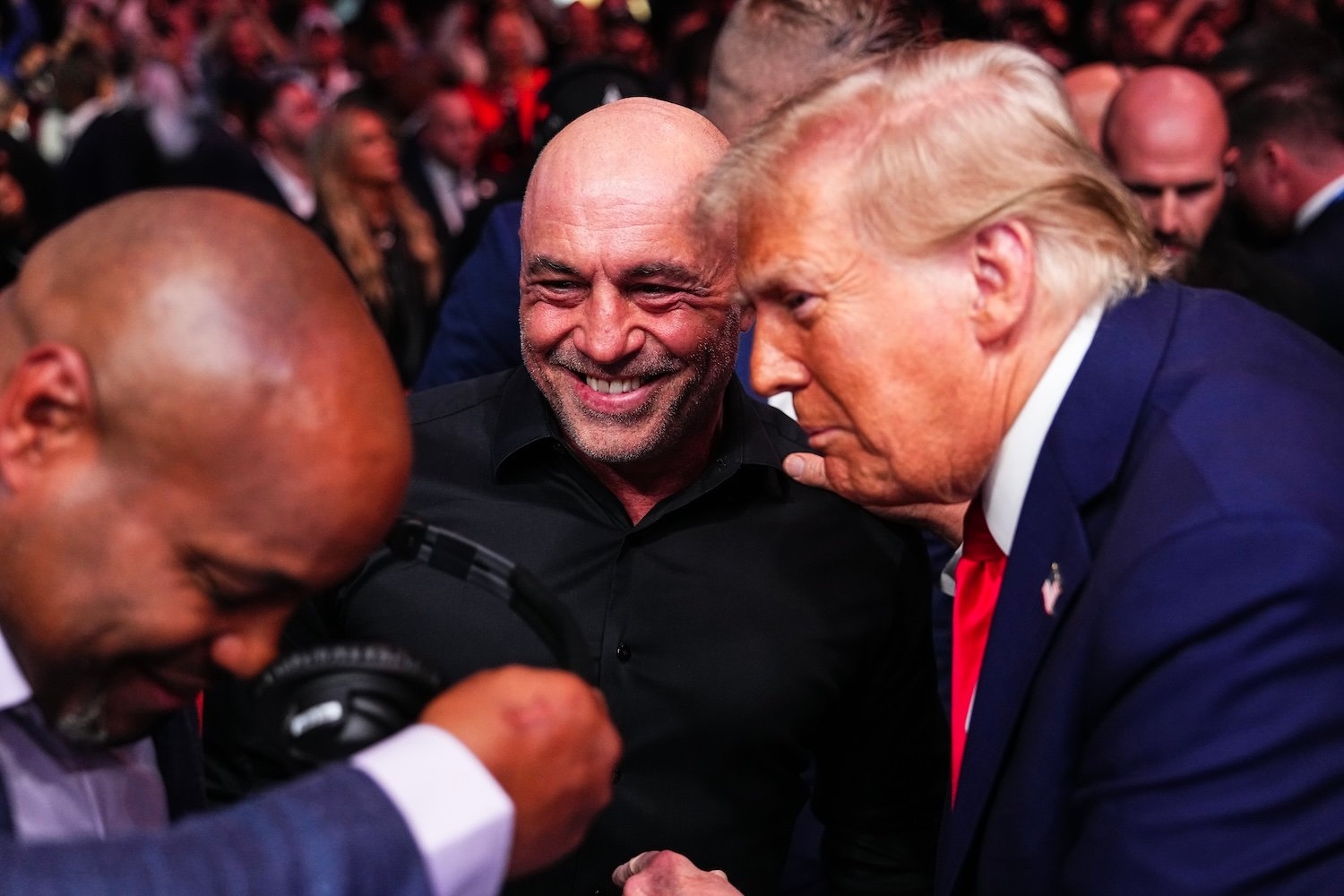 UFC Boss Says Cage Fight Is Seriously Coming to the White House