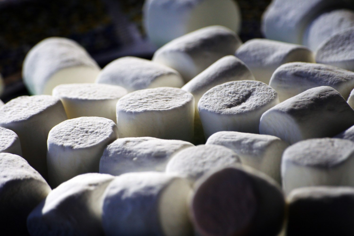 New Twist on Famous Marshmallow Test: What Happens When You Add a Second Kid?