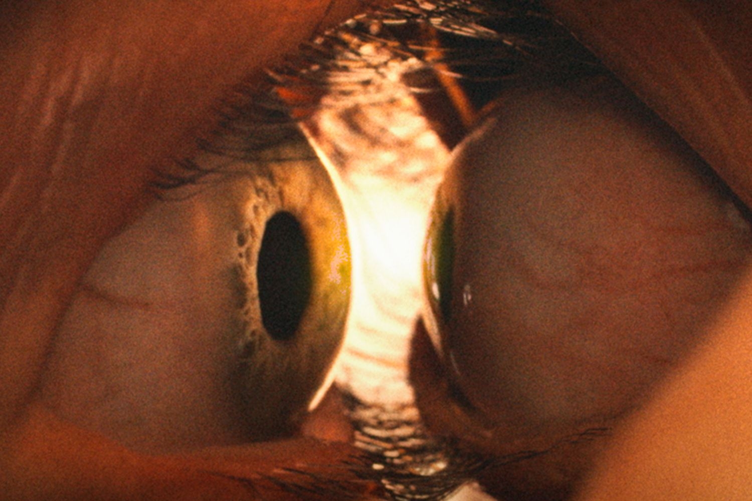 The Together Trailer Looks Terrifying and It's Not Even Trying