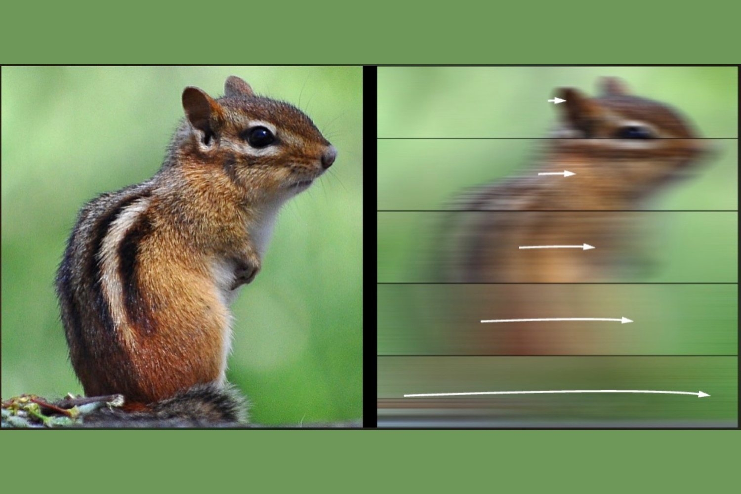 How Fast Is Too Fast to See? Study Reveals Your Visual Speed Limit