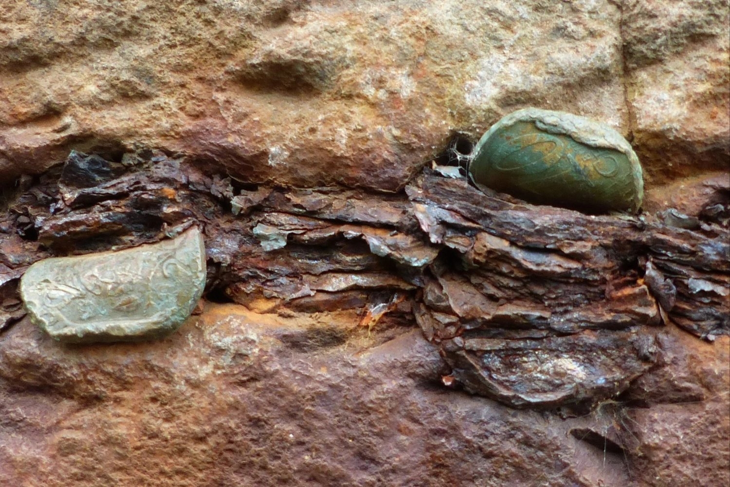 Stop Shoving Coins Into the Giant's Causeway
