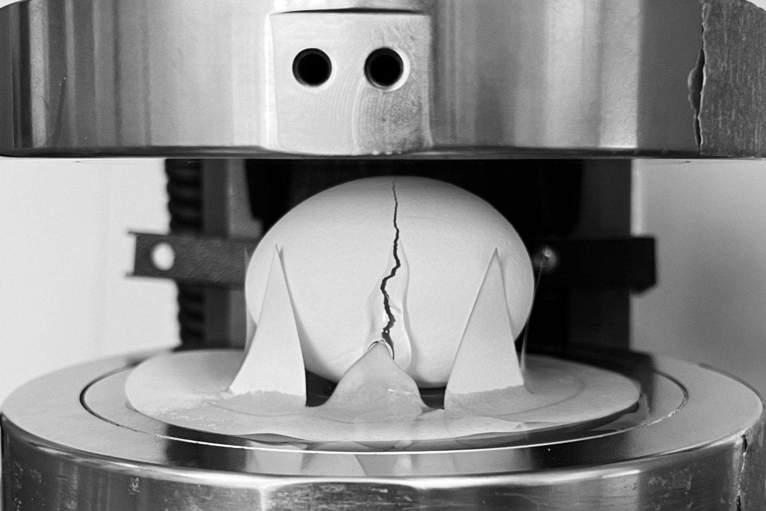The Best Way to Drop an Egg Without Breaking It, According to Science