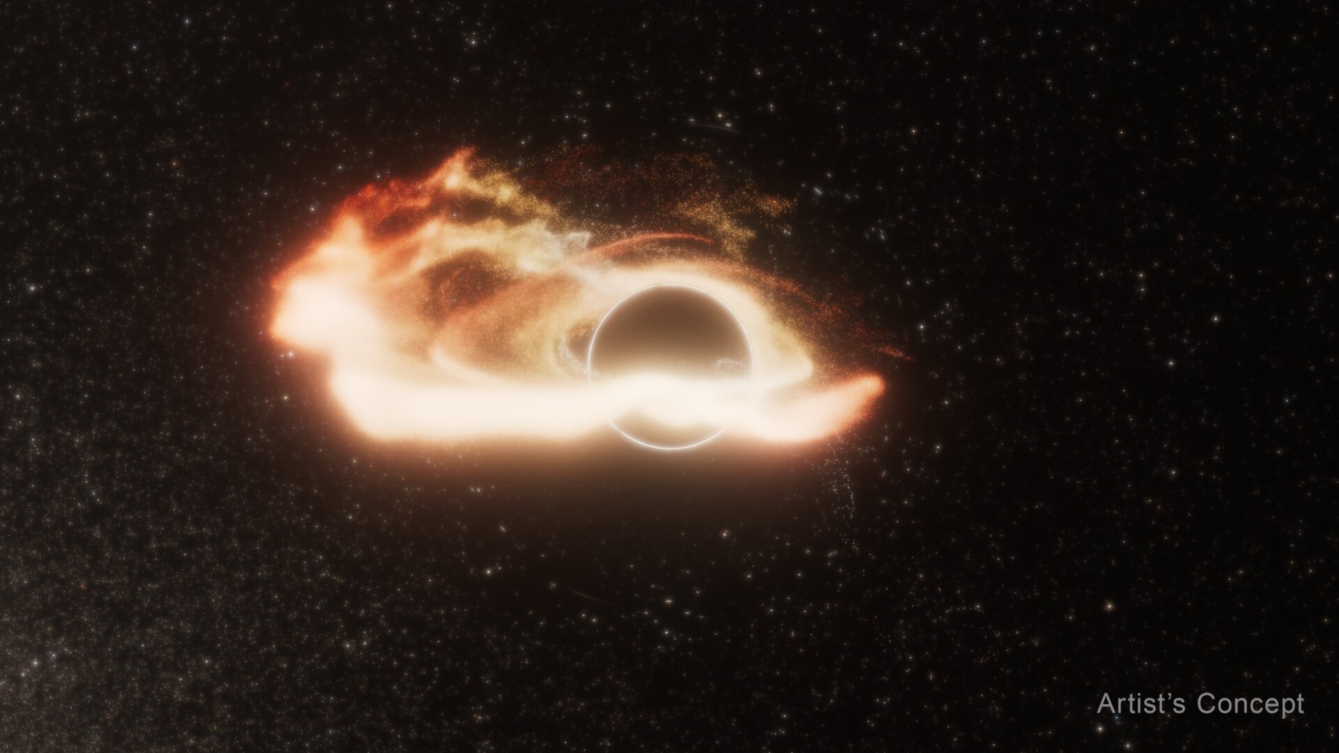 A Rogue Black Hole of Unusual Size Is Devouring Stars in a Distant Galaxy