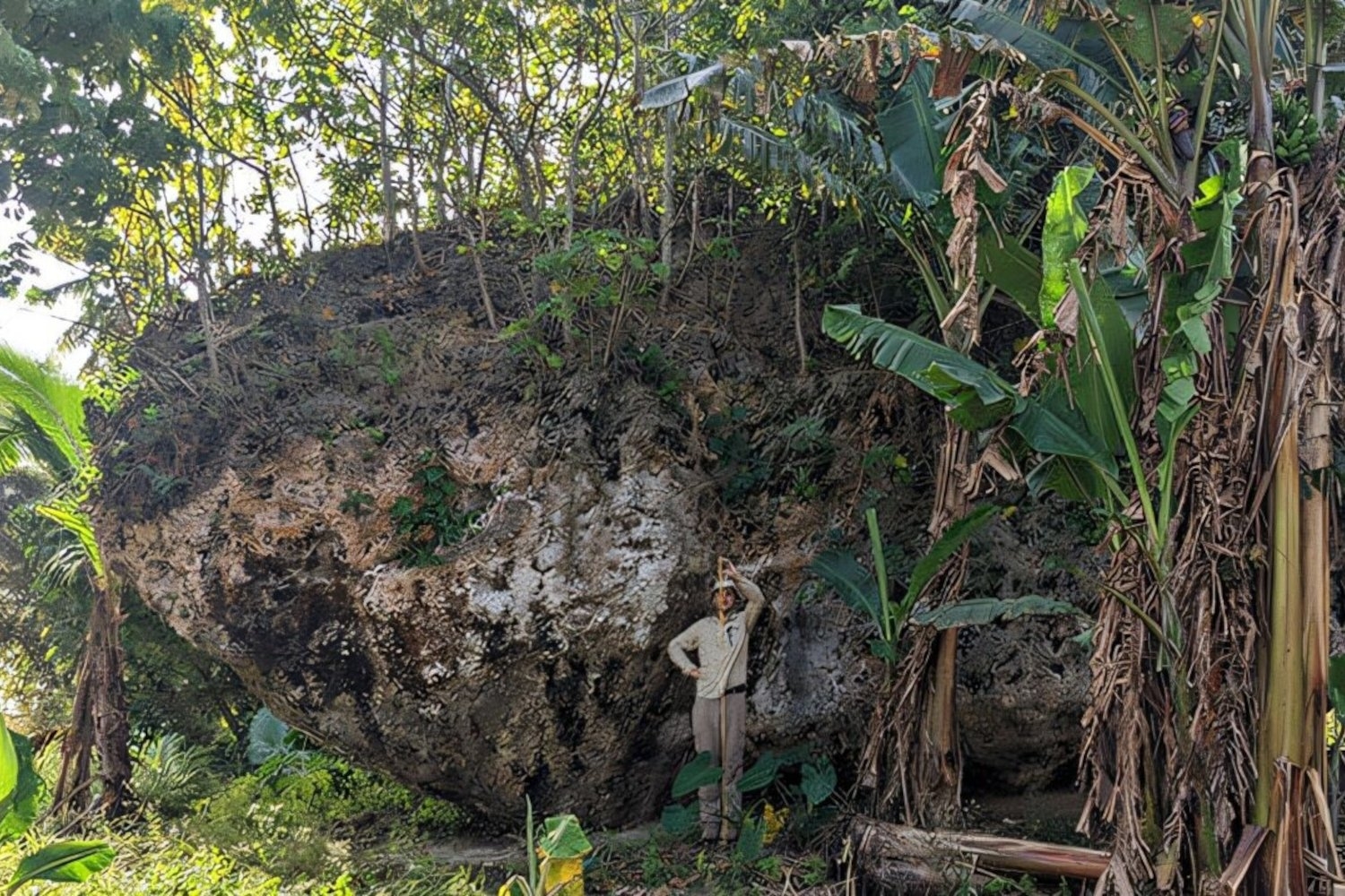 How Did This 1,300-Ton Boulder Travel Up a Cliff? Scientists Just Figured It Out