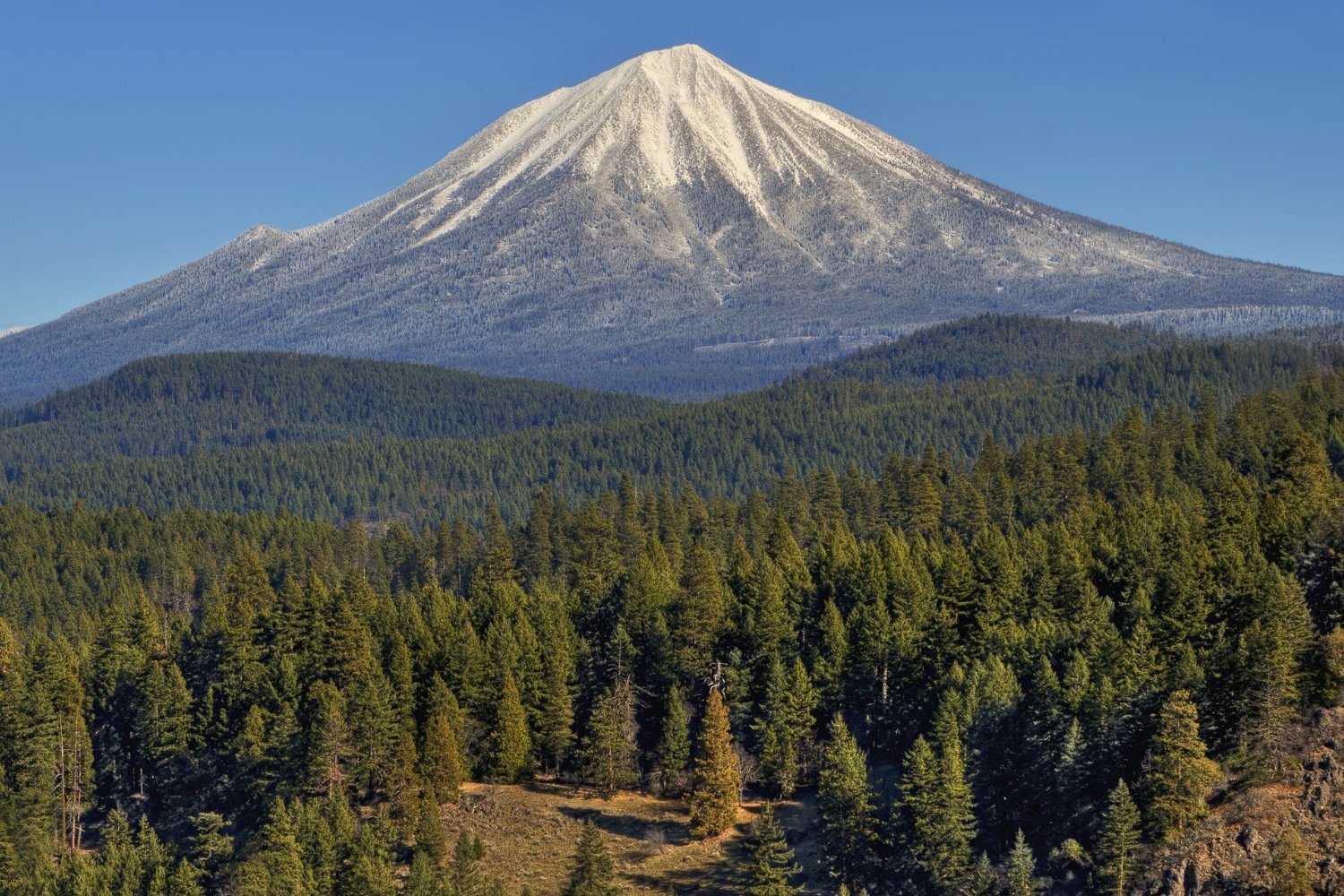 Monitoring Tree Leaves From Space Could Help Predict Volcanic Eruptions